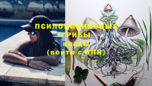 ПСИЛОЦИБИНОВЫЕ ГРИБЫ Протвино