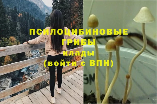 мяу мяу мука Пролетарск