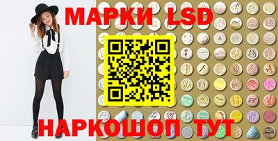 PSILOCYBIN Гатчина