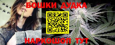 PSILOCYBIN Гатчина