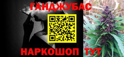 PSILOCYBIN Гатчина