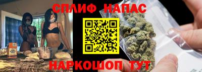 PSILOCYBIN Гатчина