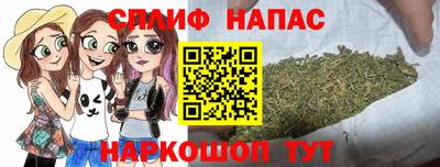PSILOCYBIN Гатчина