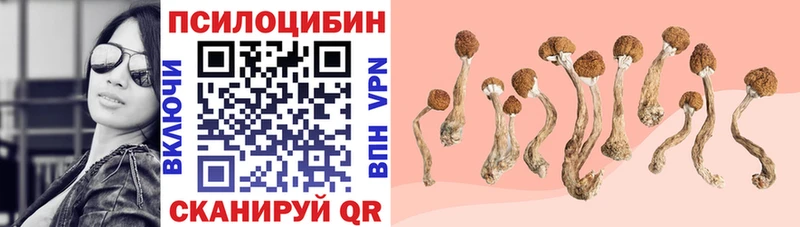 купить наркотики цена  Сорочинск  Галлюциногенные грибы прущие грибы 