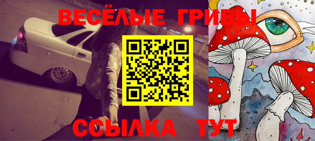 Сорочинск  Галлюциногенные грибы Psilocybine cubensis  Вход с VPN 